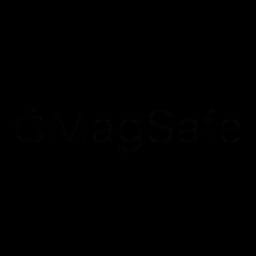 MagSafe